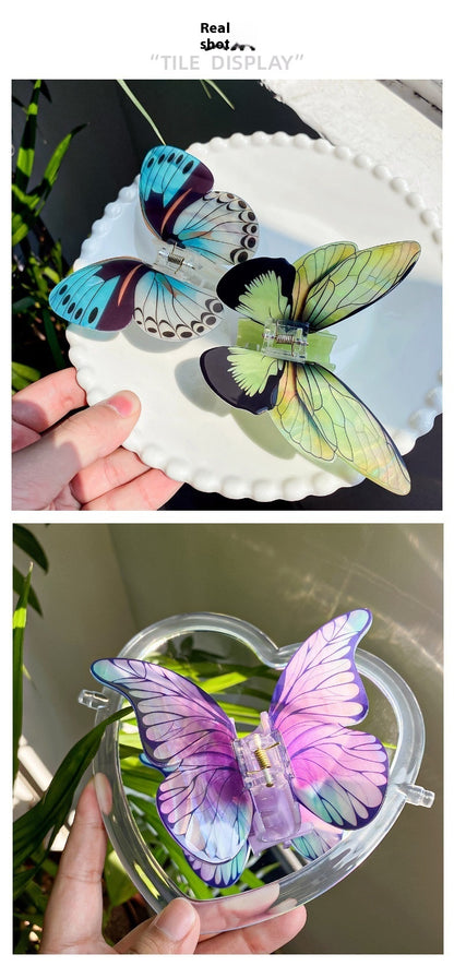 Real Butterfly Claw Clips